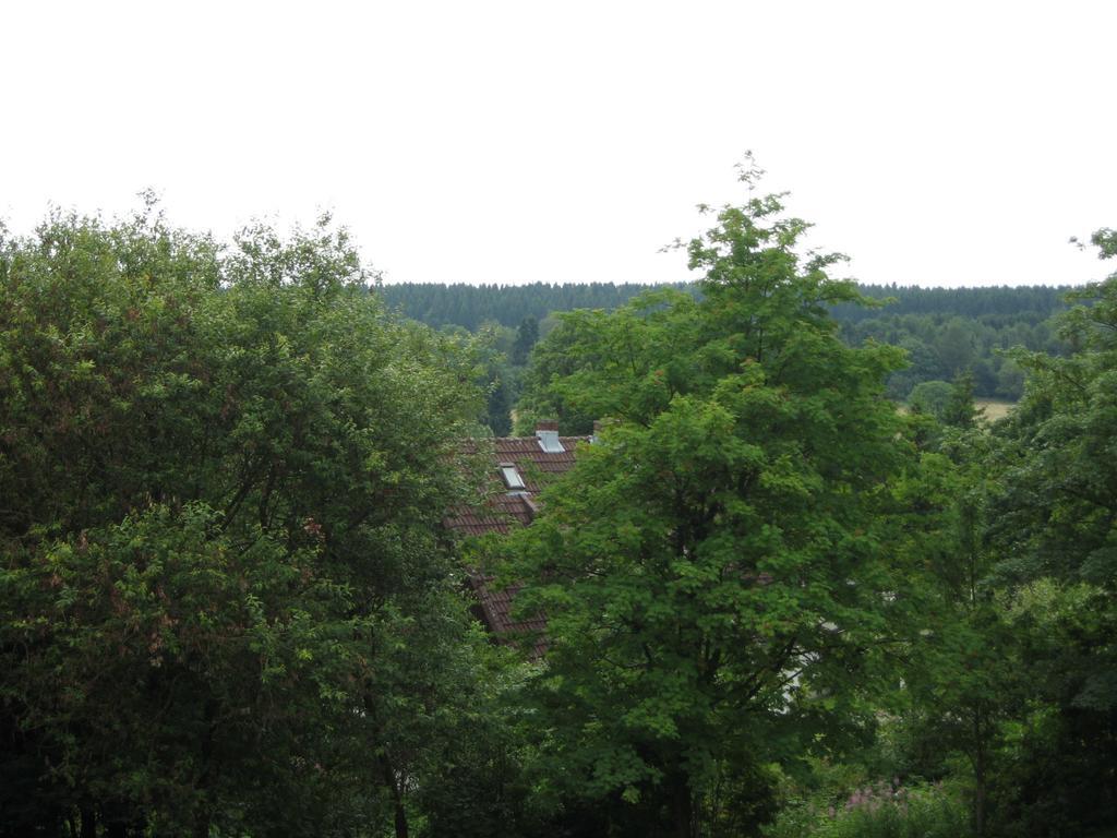 Wurmberg Baude 1 Lejlighed *
